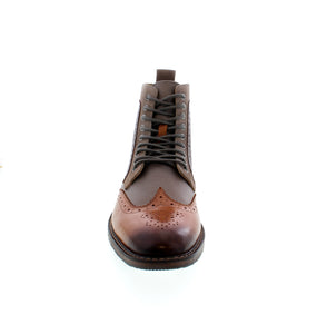 Stacy Adams Finnegan Wingtip - Cognac Multi