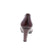 Dorking Blesa D5794 - Burgundy Patent