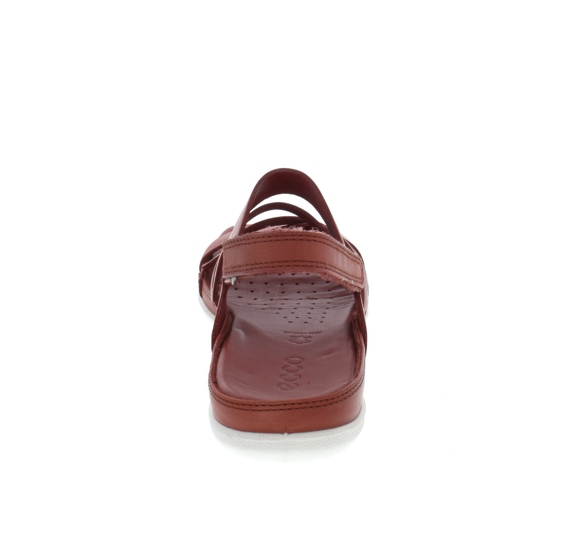 pause ulovlig mund Ecco Flash | Sandal – Sole City Shoes